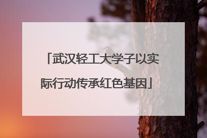 武汉轻工大学子以实际行动传承红色基因
