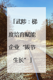 武陟：梯度培育赋能企业“拔节生长”