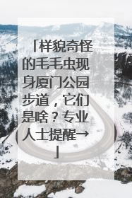 样貌奇怪的毛毛虫现身厦门公园步道，它们是啥？专业人士提醒→