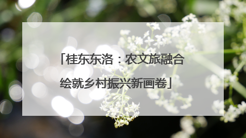 桂东东洛：农文旅融合绘就乡村振兴新画卷