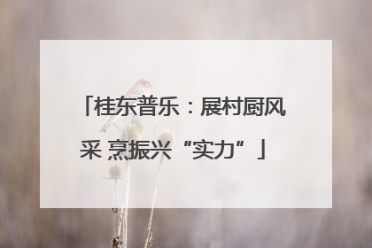 桂东普乐：展村厨风采 烹振兴“实力”