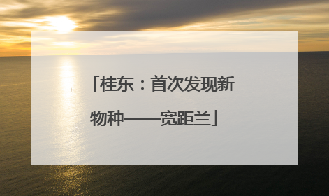 桂东：首次发现新物种——宽距兰