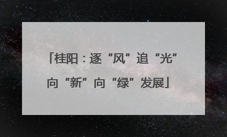 桂阳：逐“风”追“光” 向“新”向“绿”发展