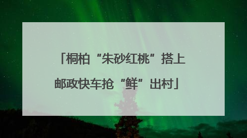 桐柏“朱砂红桃”搭上邮政快车抢“鲜”出村