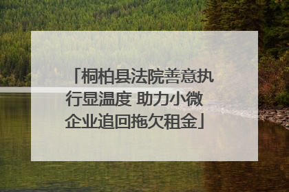 桐柏县法院善意执行显温度 助力小微企业追回拖欠租金