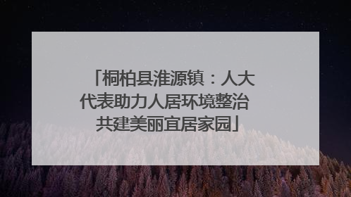 桐柏县淮源镇：人大代表助力人居环境整治 共建美丽宜居家园