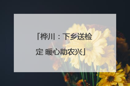 桦川：下乡送检定 暖心助农兴