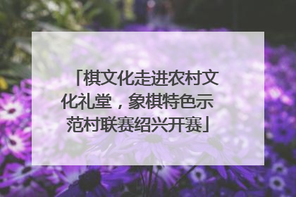棋文化走进农村文化礼堂，象棋特色示范村联赛绍兴开赛