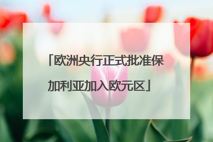 欧洲央行正式批准保加利亚加入欧元区