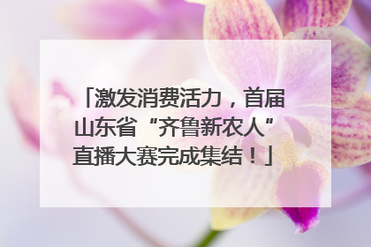 激发消费活力，首届山东省“齐鲁新农人”直播大赛完成集结！