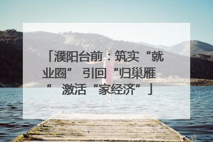 濮阳台前：筑实“就业圈” 引回“归巢雁” 激活“家经济”