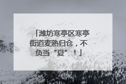 潍坊寒亭区寒亭街道麦熟归仓，不负当“夏”！