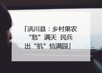 潢川县：乡村果农“愁”满天  民兵出“机”情满园