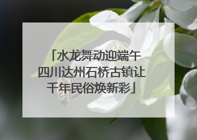 水龙舞动迎端午 四川达州石桥古镇让千年民俗焕新彩