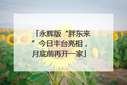 永辉版“胖东来”今日丰台亮相，月底前再开一家