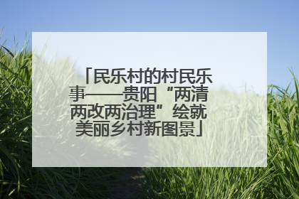 民乐村的村民乐事——贵阳“两清两改两治理”绘就美丽乡村新图景