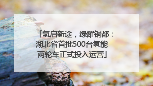 氢启新途，绿耀铜都：湖北省首批500台氢能两轮车正式投入运营