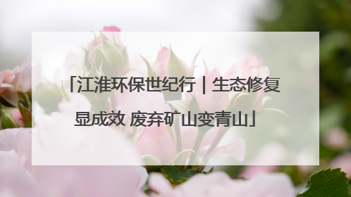 江淮环保世纪行｜生态修复显成效 废弃矿山变青山