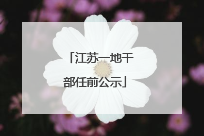 江苏一地干部任前公示