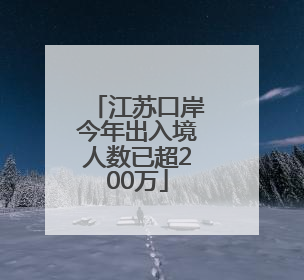 江苏口岸今年出入境人数已超200万