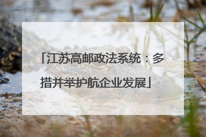江苏高邮政法系统：多措并举护航企业发展