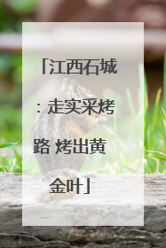 江西石城：走实采烤路 烤出黄金叶