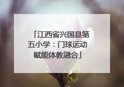 江西省兴国县第五小学：门球运动赋能体教融合