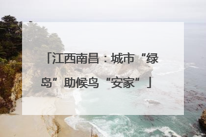 江西南昌：城市“绿岛”助候鸟“安家”