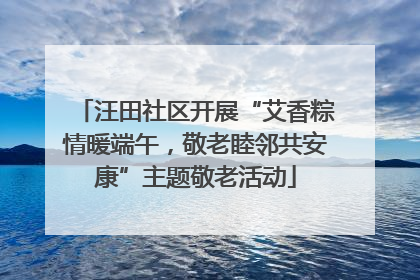 汪田社区开展“艾香粽情暖端午，敬老睦邻共安康”主题敬老活动