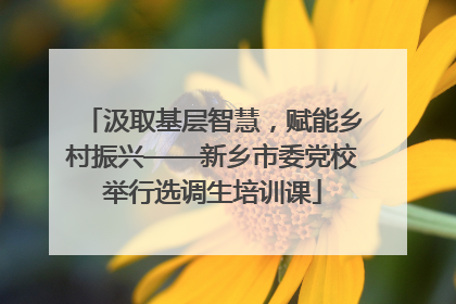 汲取基层智慧，赋能乡村振兴——新乡市委党校举行选调生培训课