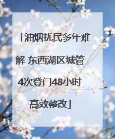 油烟扰民多年难解 东西湖区城管4次登门48小时高效整改