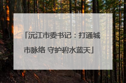 沅江市委书记：打通城市脉络 守护碧水蓝天