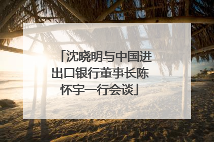 沈晓明与中国进出口银行董事长陈怀宇一行会谈