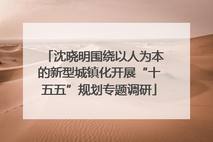 沈晓明围绕以人为本的新型城镇化开展“十五五”规划专题调研