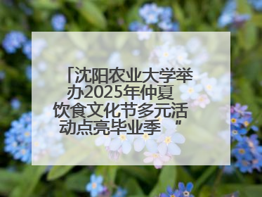 沈阳农业大学举办2025年仲夏饮食文化节多元活动点亮毕业季 “辽宁优品”进校园首站启动