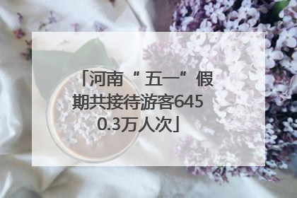 河南“ 五一”假期共接待游客6450.3万人次