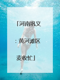河南巩义：黄河滩区麦收忙