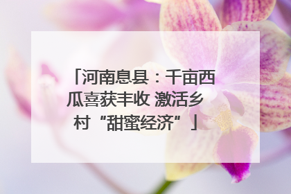 河南息县：千亩西瓜喜获丰收 激活乡村“甜蜜经济”