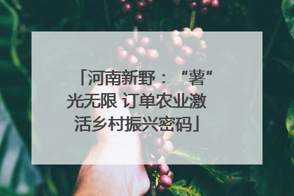 河南新野：“薯”光无限 订单农业激活乡村振兴密码
