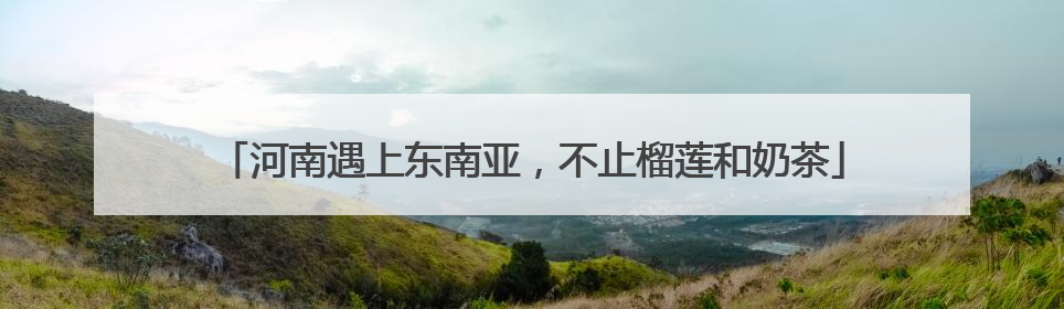 河南遇上东南亚，不止榴莲和奶茶