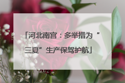 河北南宫：多举措为“三夏”生产保驾护航