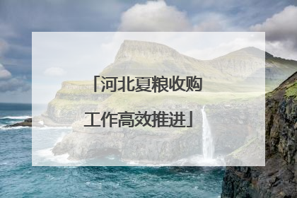 河北夏粮收购工作高效推进