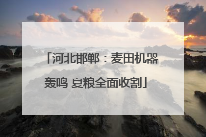 河北邯郸：麦田机器轰鸣 夏粮全面收割
