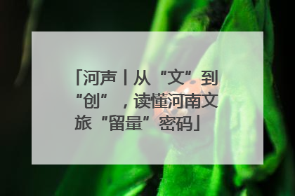 河声丨从“文”到“创”，读懂河南文旅“留量”密码