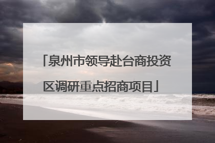 泉州市领导赴台商投资区调研重点招商项目