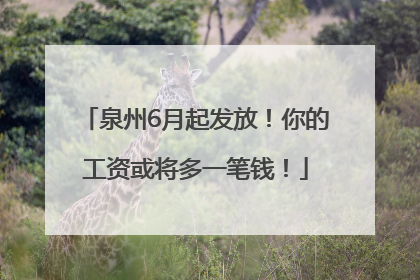 泉州6月起发放！你的工资或将多一笔钱！