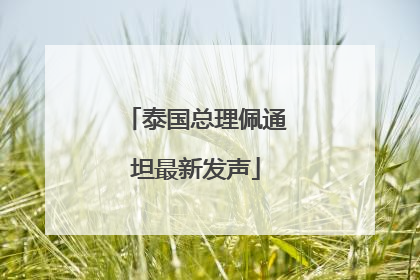 泰国总理佩通坦最新发声