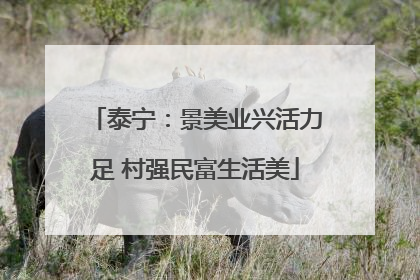 泰宁：景美业兴活力足 村强民富生活美