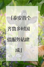 泰安首个齐鲁乡村国债服务站建成