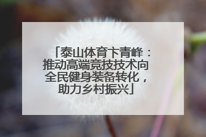 泰山体育卞青峰：推动高端竞技技术向全民健身装备转化，助力乡村振兴